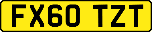 FX60TZT
