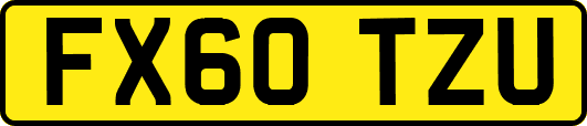 FX60TZU