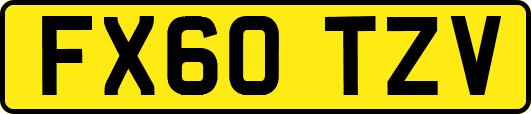 FX60TZV