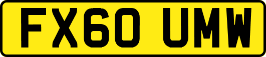 FX60UMW