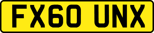 FX60UNX