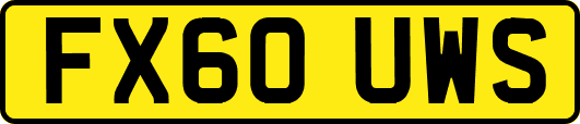 FX60UWS