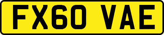 FX60VAE