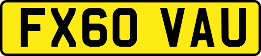 FX60VAU