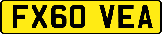 FX60VEA