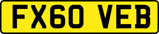 FX60VEB
