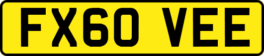 FX60VEE