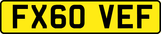 FX60VEF