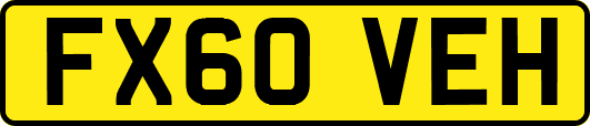 FX60VEH