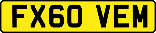 FX60VEM