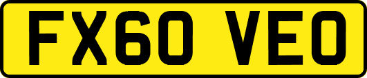 FX60VEO