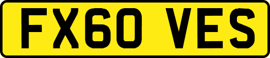 FX60VES