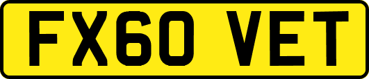 FX60VET