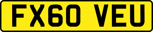 FX60VEU