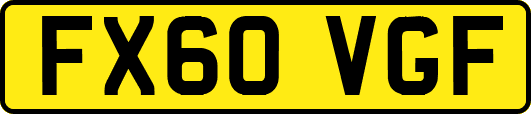 FX60VGF