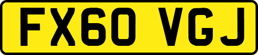 FX60VGJ