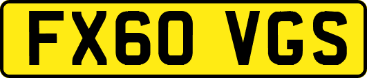 FX60VGS