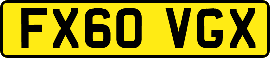 FX60VGX