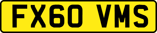 FX60VMS