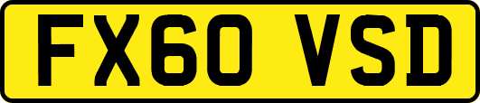 FX60VSD