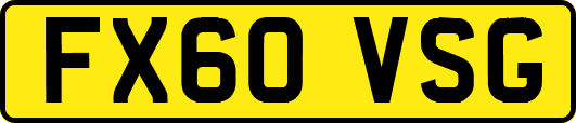 FX60VSG