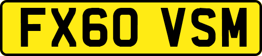 FX60VSM