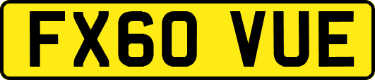 FX60VUE