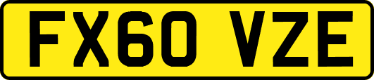 FX60VZE