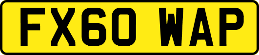 FX60WAP
