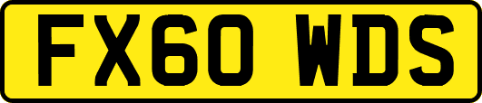FX60WDS