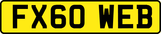 FX60WEB