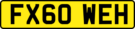 FX60WEH