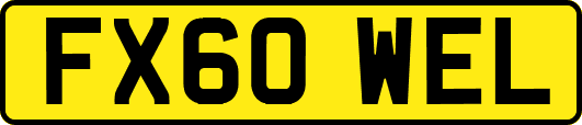 FX60WEL