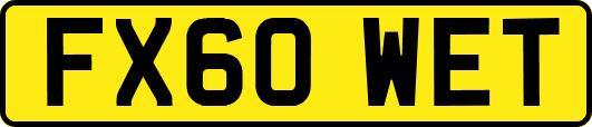 FX60WET