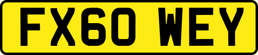 FX60WEY