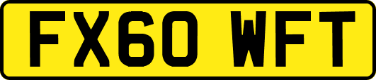 FX60WFT