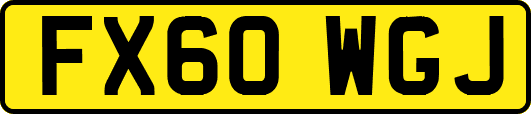 FX60WGJ