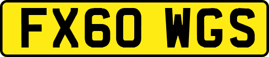 FX60WGS
