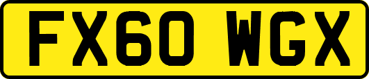 FX60WGX