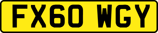 FX60WGY