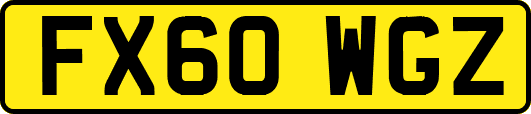 FX60WGZ