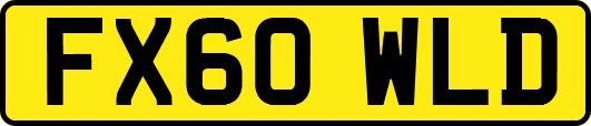 FX60WLD