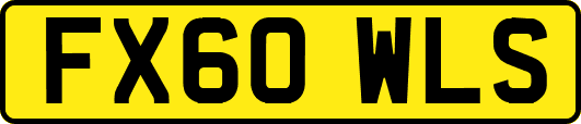 FX60WLS