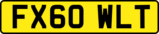 FX60WLT