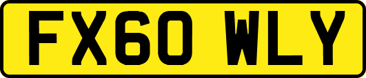 FX60WLY