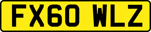 FX60WLZ
