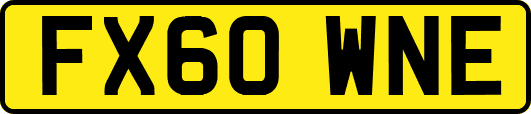 FX60WNE