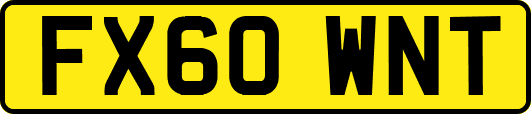 FX60WNT
