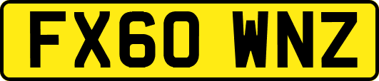 FX60WNZ