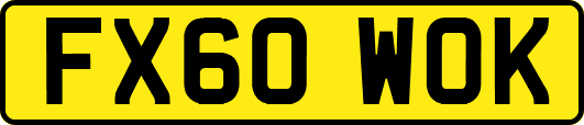 FX60WOK